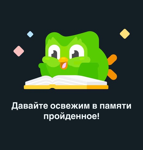 Совёнок Дуолинго